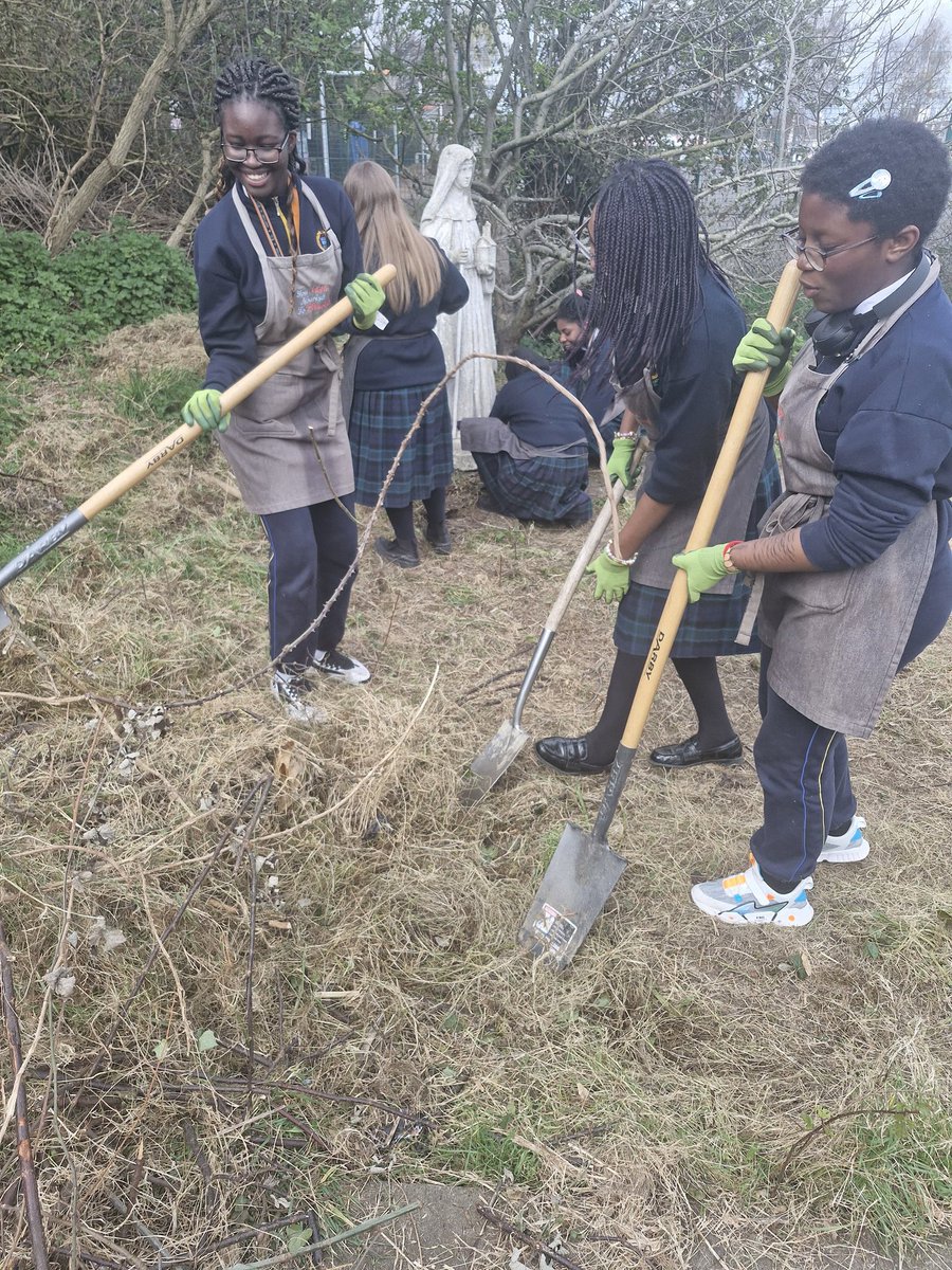 Coláiste Bríde D22 tweet media