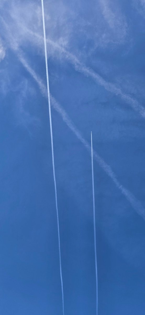 Anti Lockdown Alliance(GLOBAL) tweet media