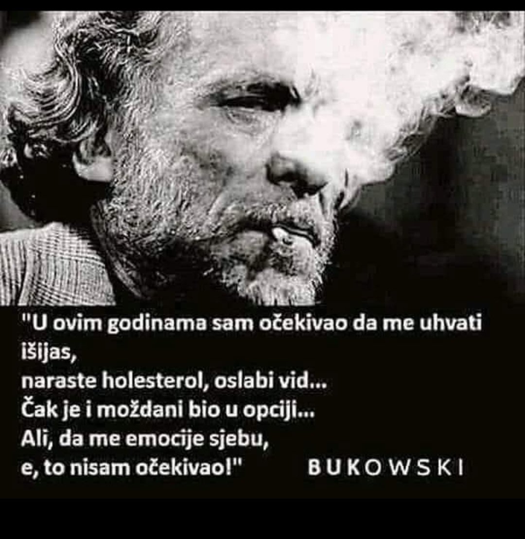 Hannah (@hannahaldo) on Twitter photo 