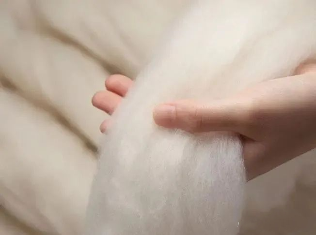 OrdosChina's tweet photo. What does top-tier #cashmere certified by Italy's luxury icon @LoroPiana feel like?
It comes from #Ordos #Albas cashmere goats🐐, with fiber as fine as 12.8 microns – just 1/5 the thickness of human hair. Pure softness! 👉https://t.co/DecaqrE5HX https://t.co/vyCeyrKqZ4
