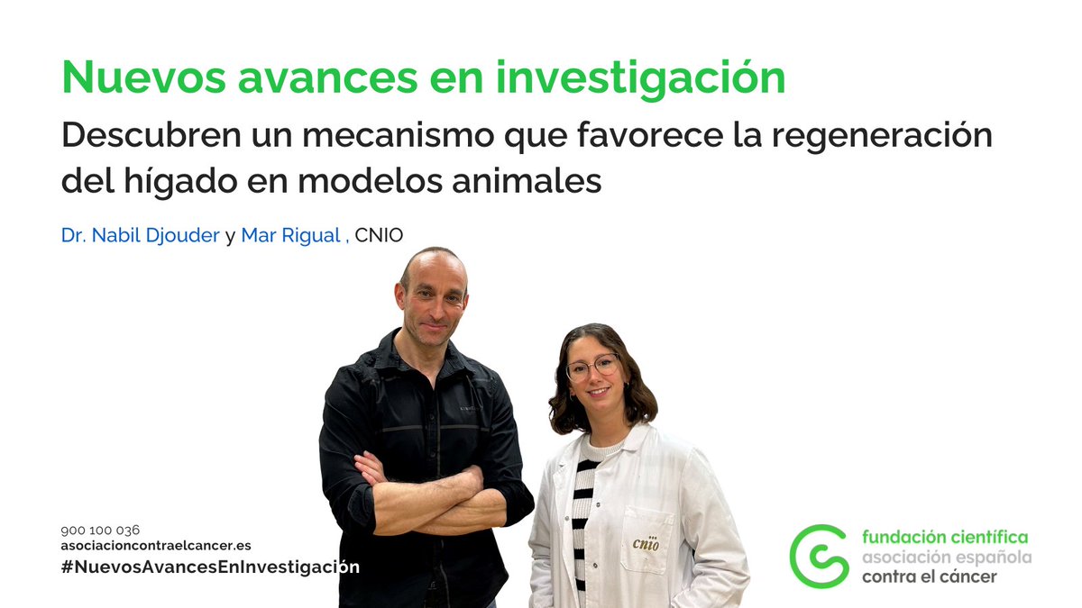 Contra el Cáncer Investigación (@contracancerinv) on Twitter photo 🧪Una investigación liderada por <a href="/NabilDjouder/">Nabil Djouder</a> (<a href="/CNIOStopCancer/">CNIO Stop Cancer</a>) con el apoyo de @contracanceres, y publicada ayer en <a href="/Nature/">nature</a> identifica un mecanismo de regeneración hepática hasta ahora desconocido, que se activa en apenas minutos tras un daño agudo mediante el glutamato. Los 🧪Una investigación liderada por <a href="/NabilDjouder/">Nabil Djouder</a> (<a href="/CNIOStopCancer/">CNIO Stop Cancer</a>) con el apoyo de @contracanceres, y publicada ayer en <a href="/Nature/">nature</a> identifica un mecanismo de regeneración hepática hasta ahora desconocido, que se activa en apenas minutos tras un daño agudo mediante el glutamato. Los