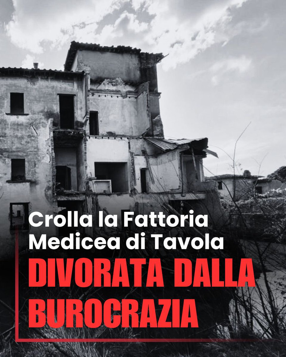 Cosimo Zecchi tweet media