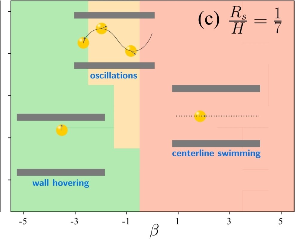 Delighted to share the news of our latest work on squirmers in a confined nematic fluid in <a href="/PhysRevLett/">Physical Review Letters</a> 
We map the phase diagram for a single squirmer and find evidence of cooperativity among many squirmers...
1/2