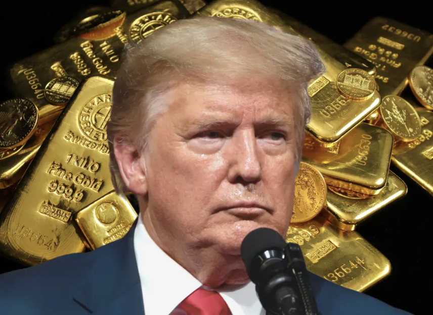 CryptoGoos tweet media