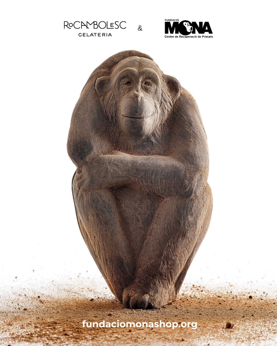 FundacioMona's tweet photo. No et quedis sense la teva mona de xocolata 🍫🐒
Consulta els punts de recollida. 
👉 https://t.co/czcTu7rTQx
·
·
¡No te quedes sin tu mona de chocolate🍫🐒
Consulta los puntos de recogida. 
👉 https://t.co/czcTu7rTQx

@RRRocambolesc https://t.co/nzKgbDFEKm