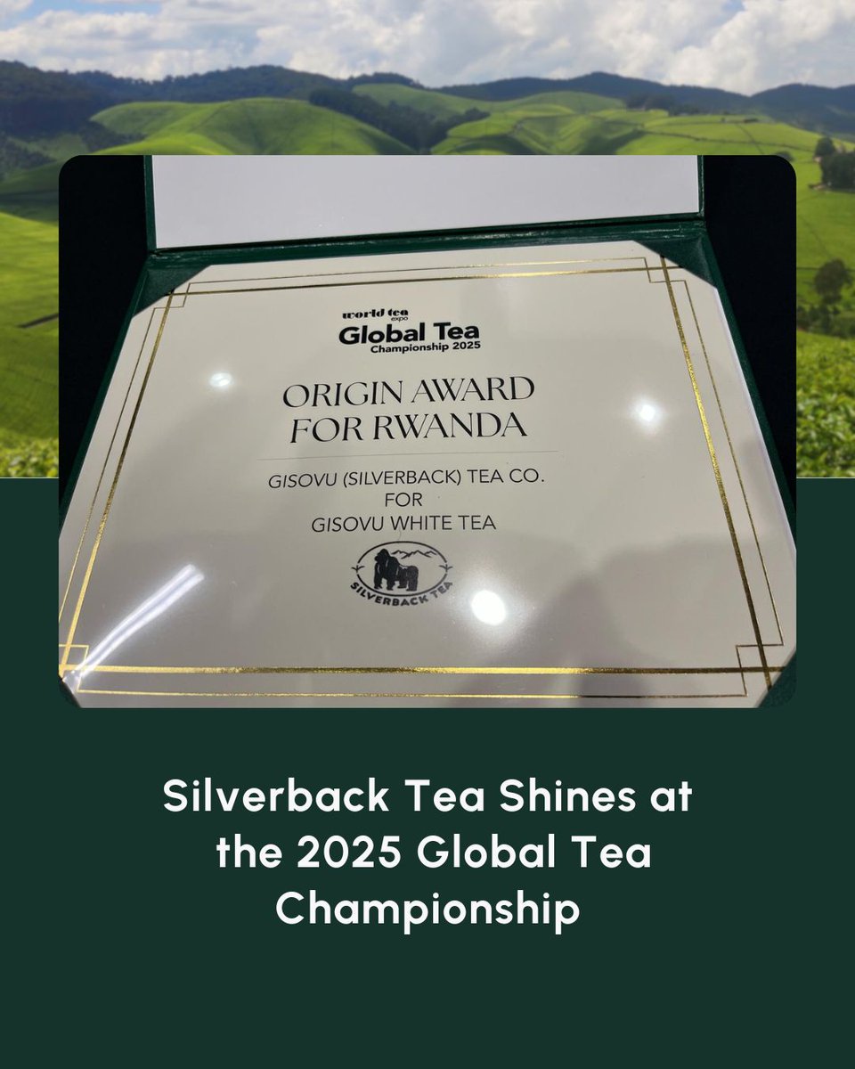 Silverback Tea tweet media