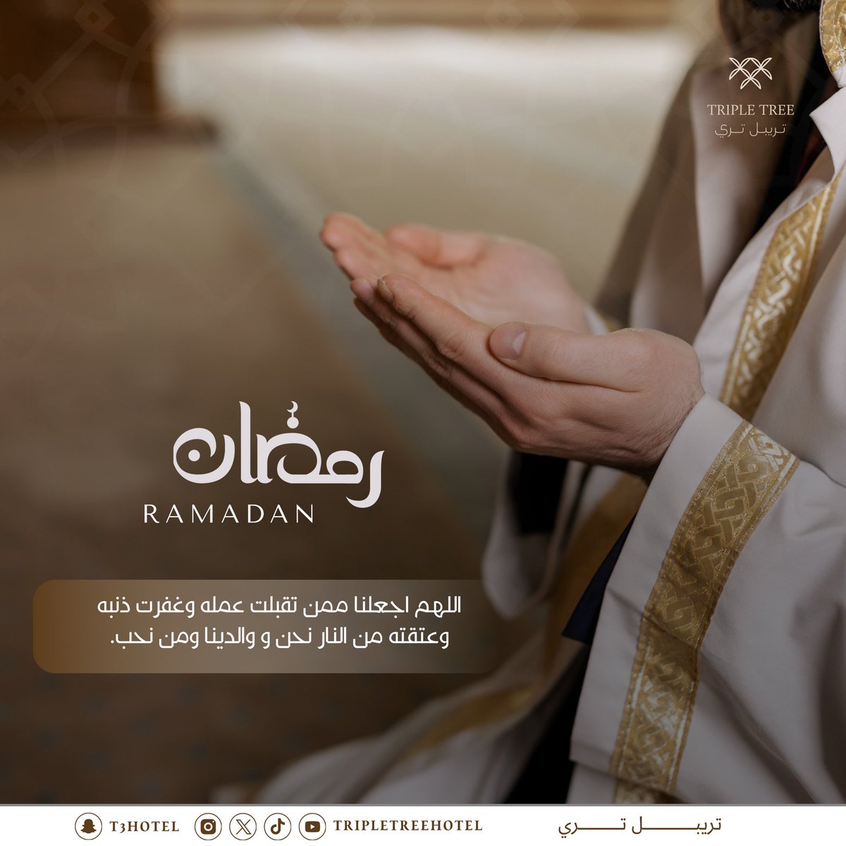 ® Triple Tree Hotels فنادق تريبل تري tweet media