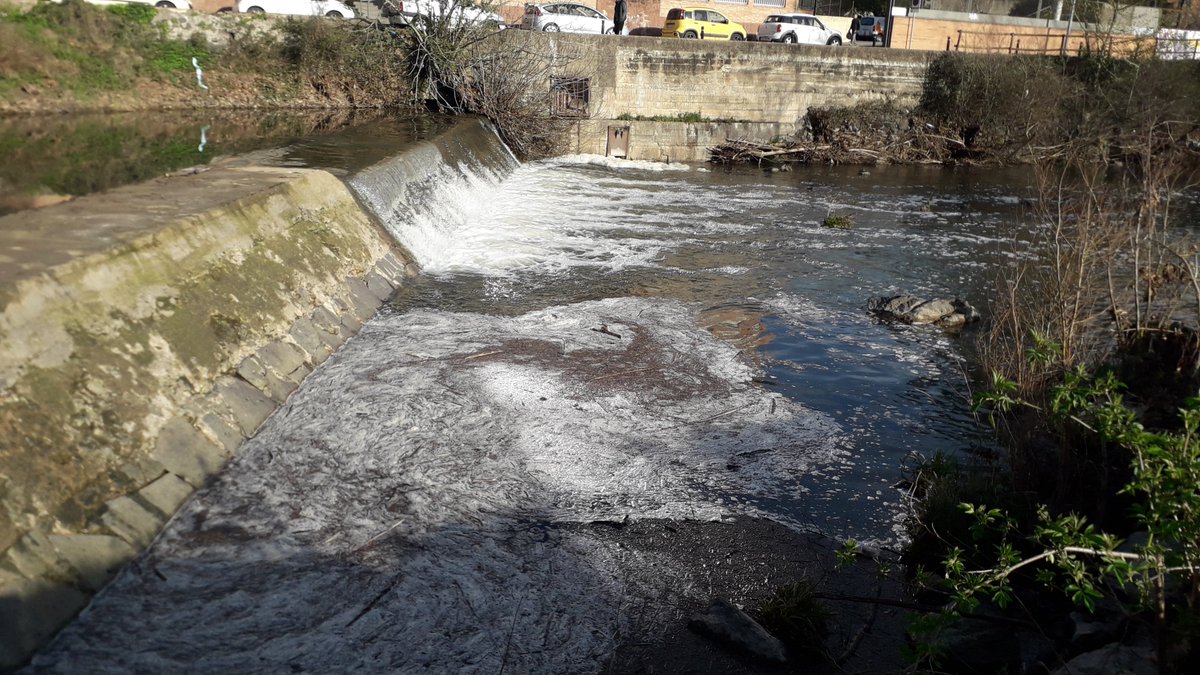 Deplorable aspecte del riu Fluvià darrera l'estació d'autobusos d'Olot, avui a les 9 del matí. Un dia més, l'enèssim enguany. Fins quan? <a href="/aigua_cat/">ACA</a>