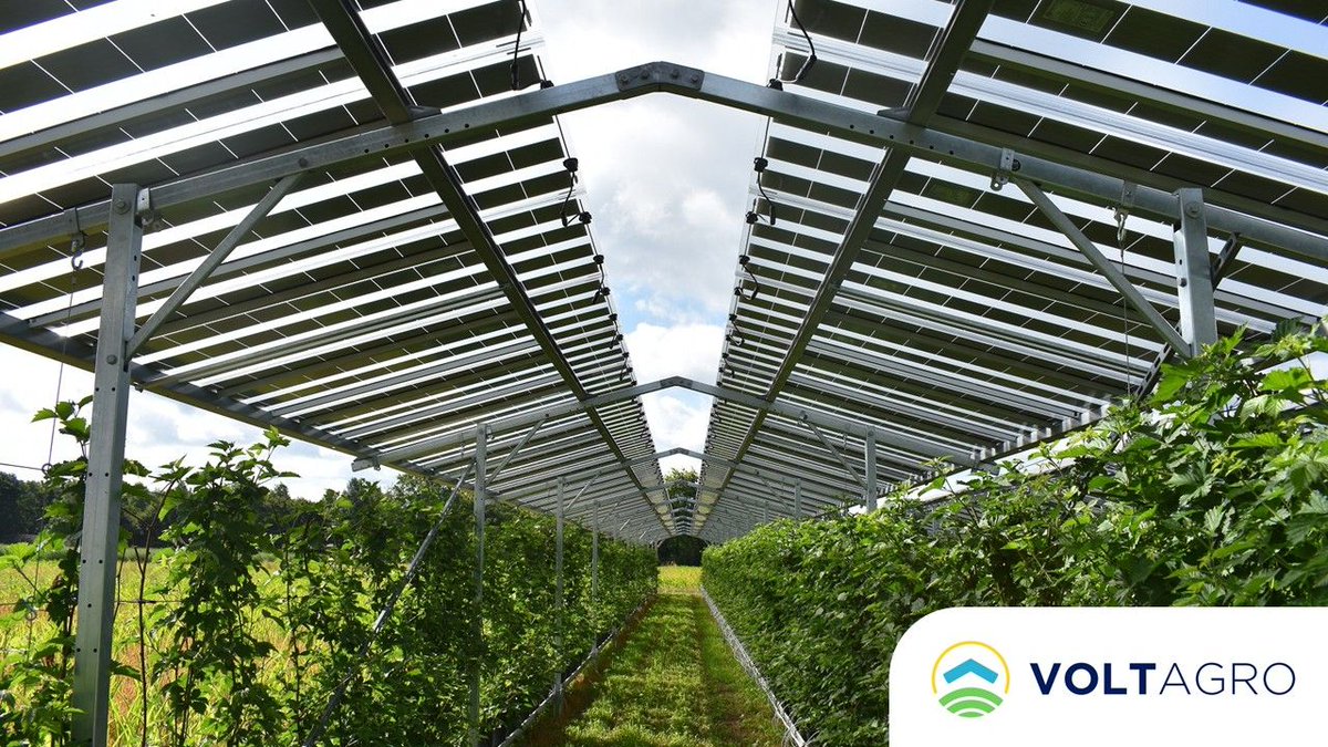 🌱☀️ ¿Qué pasa cuando la #EnergíaSolar se une a la agricultura? Nace la #agrovoltaica.
En el proyecto #VOLTAGRO, <a href="/APPA_Renovables/">APPA Renovables</a> y otros socios prueban este modelo en campos de #España para ahorrar #agua, generar #energía y mejorar la #rentabilidad agrícola.

🔗