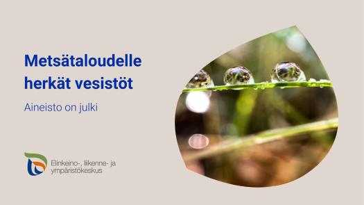 Elinvoimakeskus's tweet photo. Juuri julkaistu aineisto Metsätaloudelle herkät vesistöt auttaa metsänomistajia ja metsänhoidon toimijoita suunnittelemaan toimenpiteitä vesistöille ystävällisellä tavalla.🌍

Tutustu aineistoon: https://t.co/oLRw91t29A

#Metsätalous #Vesistöt #Ympäristö #ELYkeskus #Syke https://t.co/anfVX2rtes