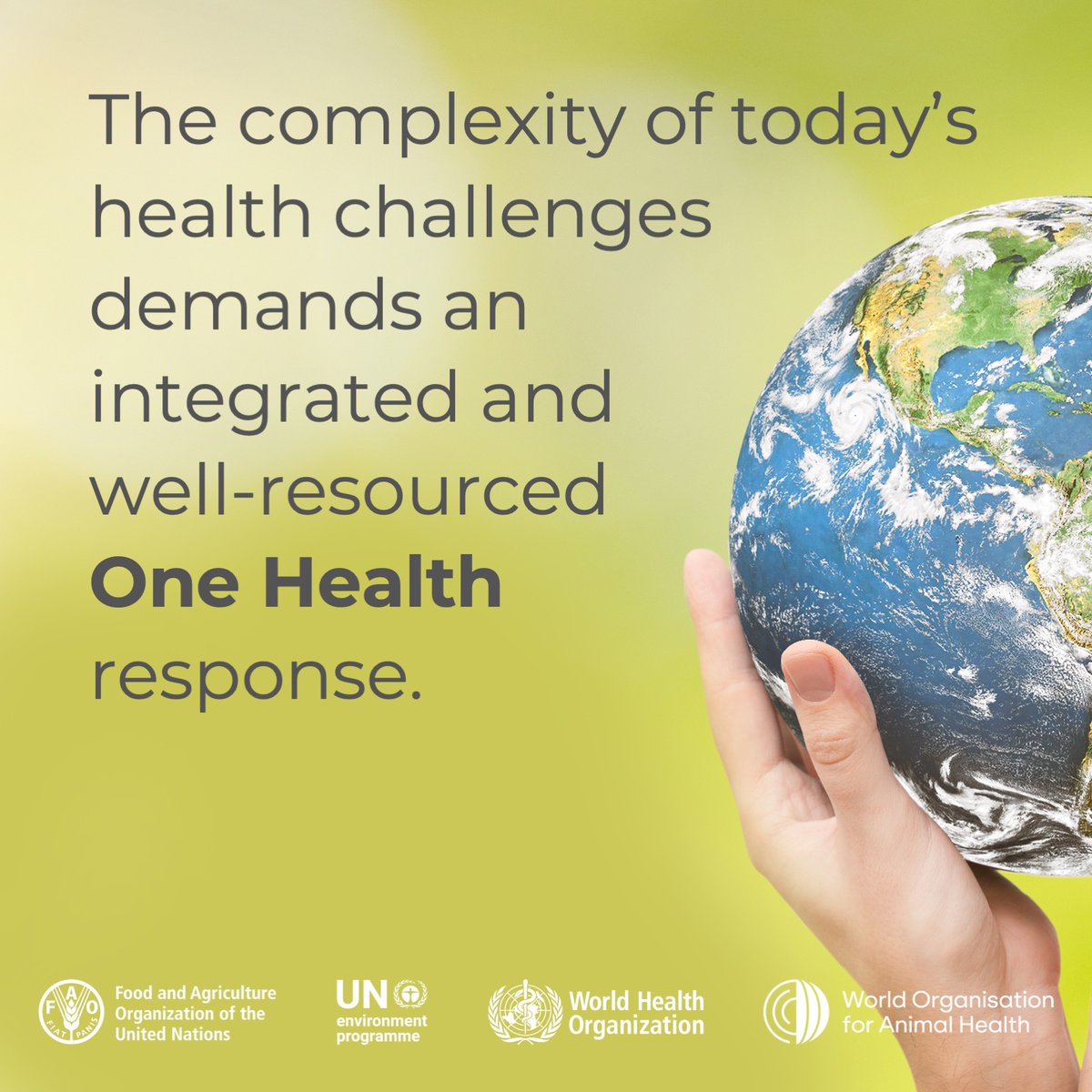 Investing in #OneHealth isn’t optional - it’s imperative for a resilient, sustainable future.

By integrating human, animal, plant &amp; ecosystem health, we can prevent crises, reduce losses &amp; safeguard our world.

tinyurl.com/2cp87yrf