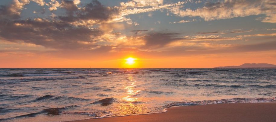 Los que tengan ya sentencia de fraude y abuso les falta menos para estabilizar por ley, los que se durmieron … camarón que se duerme se lo lleva la corriente … Orgullo de como las cosas van saliendo como deben aunque lento, pero salen. 
Sale ya el sol. Manuel Martos