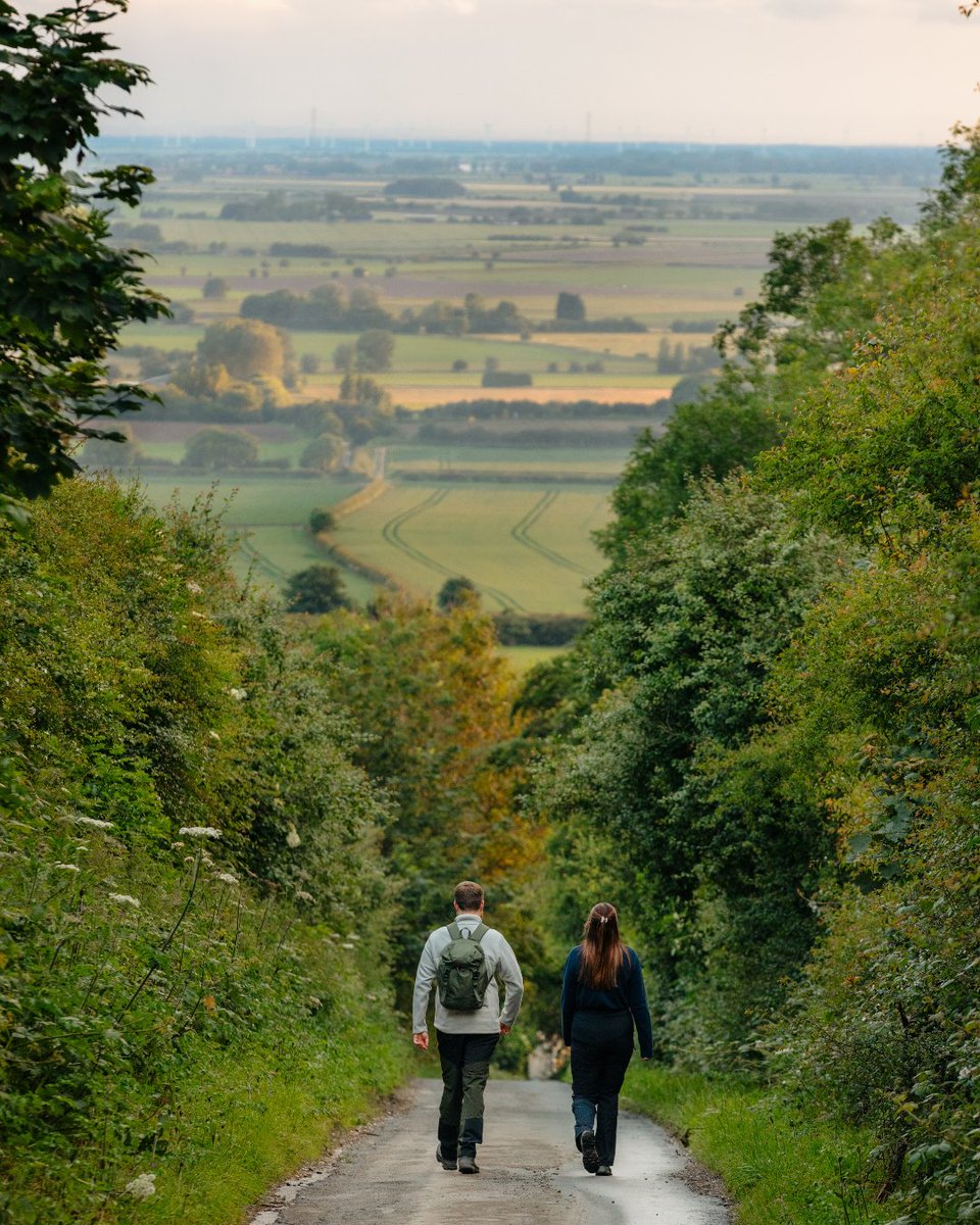 Welcome to the Yorkshire Wolds, where every step offers a new view, and every moment a new memory.