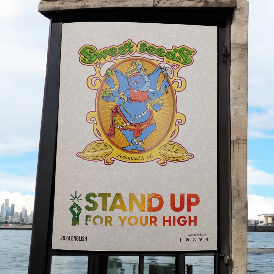 HANFTOPIA tweet media