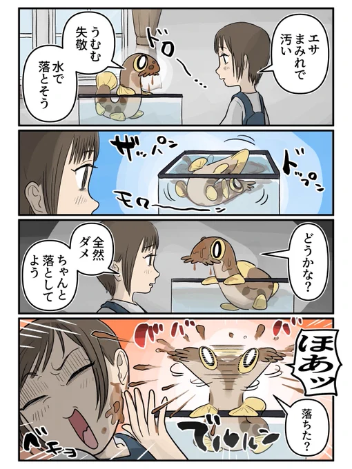 (2/4) 