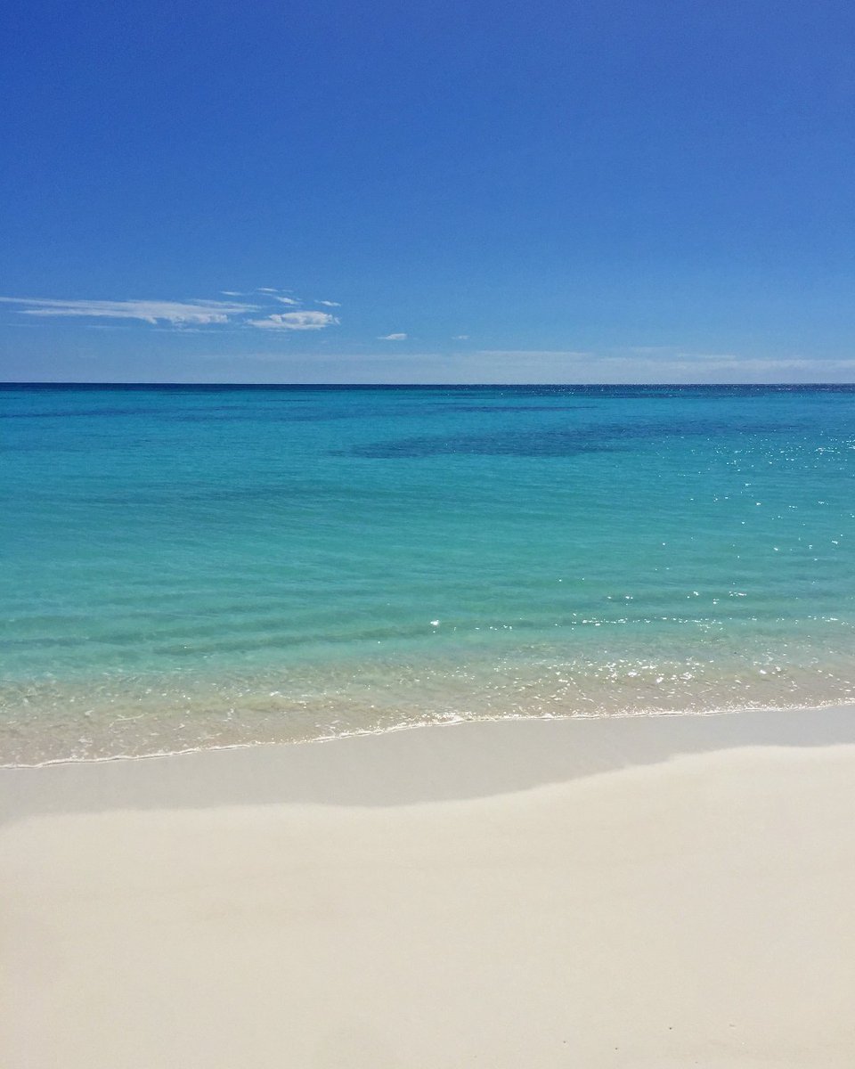 Nouvl_Caledonie's tweet photo. Bienvenue à Luengöni, joyau de Lifou !

Ici, le temps ralentit : détente sur le sable blanc, snorkeling dans le lagon ou exploration des grottes sous-marines. Un cadre idyllique pour une escapade inoubliable ! 💙

📍 Lifou
📷 © bsera / NCT

#NouvelleCalédonie #Lifou #Évasion https://t.co/7yPKHAVdFp