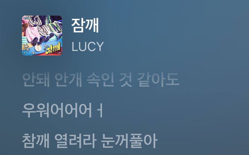 치치 tweet media