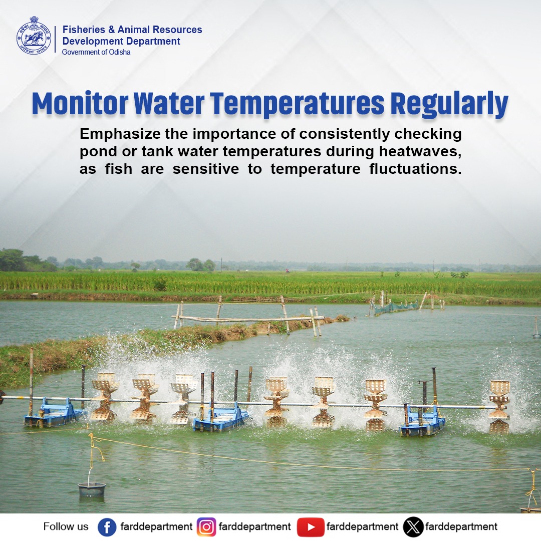 Fisheries & ARD Department (@farddepartment) on Twitter photo 🌡️ Keep your fish healthy by monitoring water temperatures regularly! Sudden fluctuations can stress fish and impact growth.
<a href="/CMO_Odisha/">CMO Odisha</a> <a href="/GokulanandaBJP/">GOKULANANDA MALLICK</a> <a href="/SecyChief/">ChiefSecyOdisha</a> <a href="/OdishaFisheries/">Directorate of Fisheries, Odisha</a> <a href="/sureshvashishth/">Suresh Kr. Vashishth</a> <a href="/IPR_Odisha/">I & PR Department, Odisha</a> <a href="/FisheriesGoI/">Department of Fisheries, Min of FAH&D</a> 🌡️ Keep your fish healthy by monitoring water temperatures regularly! Sudden fluctuations can stress fish and impact growth.
<a href="/CMO_Odisha/">CMO Odisha</a> <a href="/GokulanandaBJP/">GOKULANANDA MALLICK</a> <a href="/SecyChief/">ChiefSecyOdisha</a> <a href="/OdishaFisheries/">Directorate of Fisheries, Odisha</a> <a href="/sureshvashishth/">Suresh Kr. Vashishth</a> <a href="/IPR_Odisha/">I & PR Department, Odisha</a> <a href="/FisheriesGoI/">Department of Fisheries, Min of FAH&D</a>