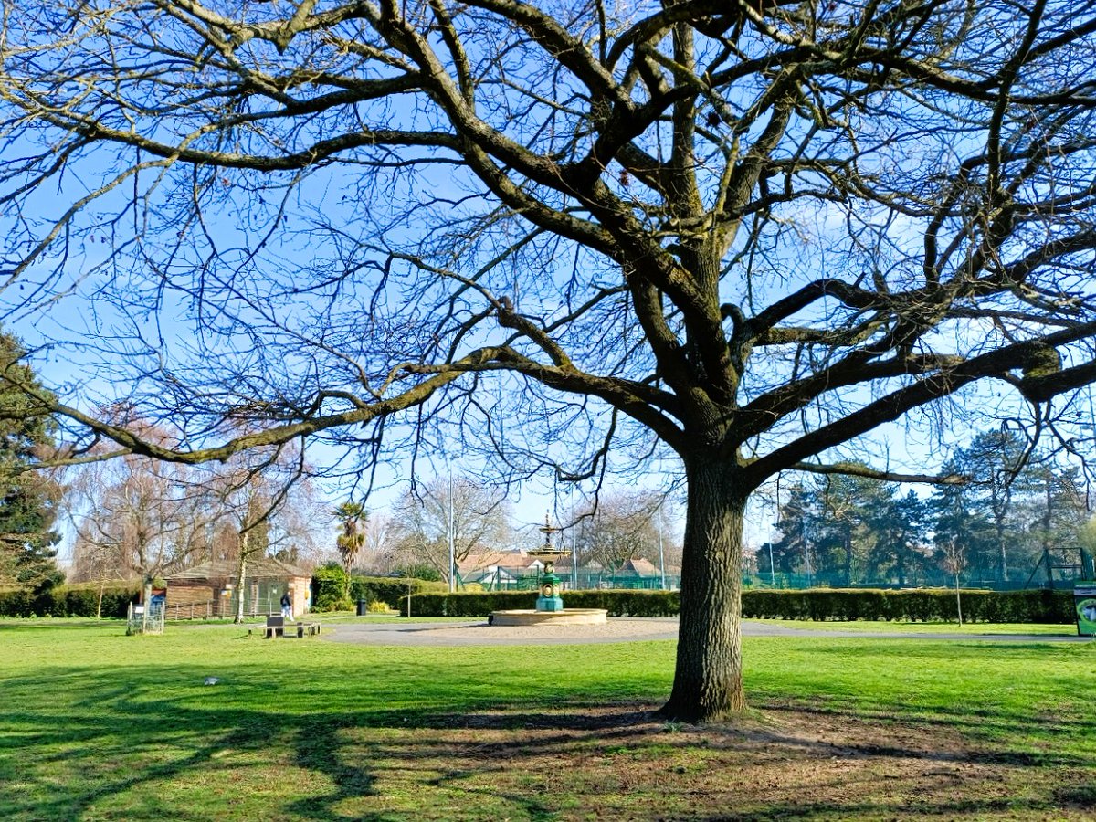 pac1610's tweet photo. #CripplegatePark in the sunshine! 🤍💫🔴💫💚 @ThePhotoHour @VisitWorcs #WorcestershireHour #Worcester https://t.co/zjQ2sGiWtY