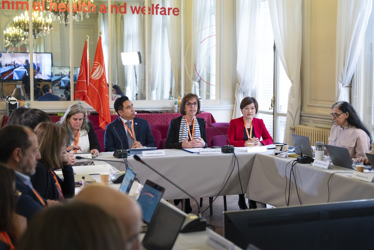 Dr Emmanuelle Soubeyran (@woah_dg) on Twitter photo This week, we welcome senior leadership and experts from <a href="/FAO/">Food and Agriculture Organization</a>, <a href="/UNEP/">UN Environment Programme</a> and <a href="/WHO/">World Health Organization (WHO)</a>, and <a href="/WOAH/">World Organisation for Animal Health</a> to Paris for the 3rd Quadripartite Executive Annual Meeting (QEAM3). This high-level gathering is a key moment to assess progress, refine our strategic direction, and strengthen our This week, we welcome senior leadership and experts from <a href="/FAO/">Food and Agriculture Organization</a>, <a href="/UNEP/">UN Environment Programme</a> and <a href="/WHO/">World Health Organization (WHO)</a>, and <a href="/WOAH/">World Organisation for Animal Health</a> to Paris for the 3rd Quadripartite Executive Annual Meeting (QEAM3). This high-level gathering is a key moment to assess progress, refine our strategic direction, and strengthen our