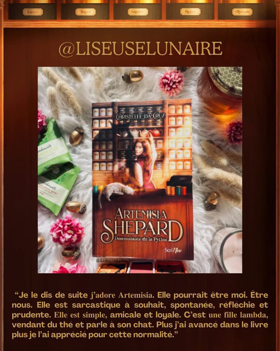 Mon dernier roman est arrivé en librairie le 20/03 ! Si vous aimez la fantasy urbaine, la mythologie grecque, le Young adult et l’humour ! Ce roman est fait pour vous !