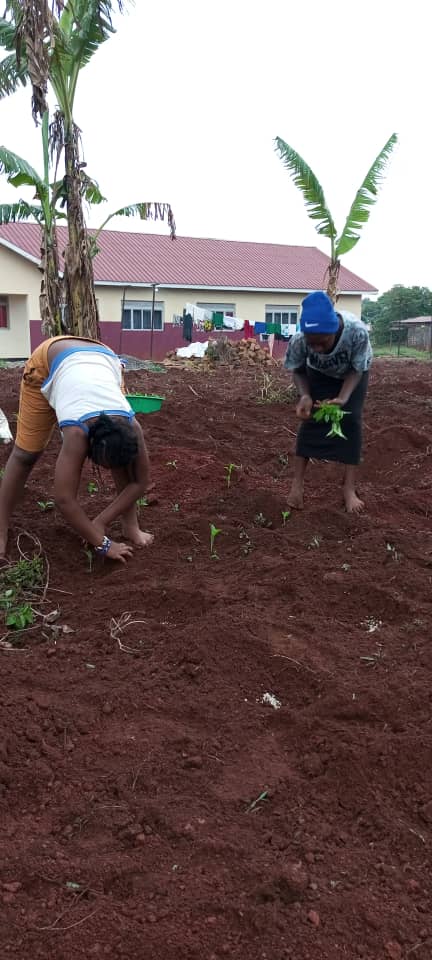 AnthillEDUC's tweet photo. Out of class project focus #PowerHerUp building resilience among girls and young women at risk of Gender Based Violence to ensure improved food security in our school and communities.
#skillingyouth
#practicaleducation
#GirlsNotBrides
#nutrition https://t.co/5kcWRIWBgT