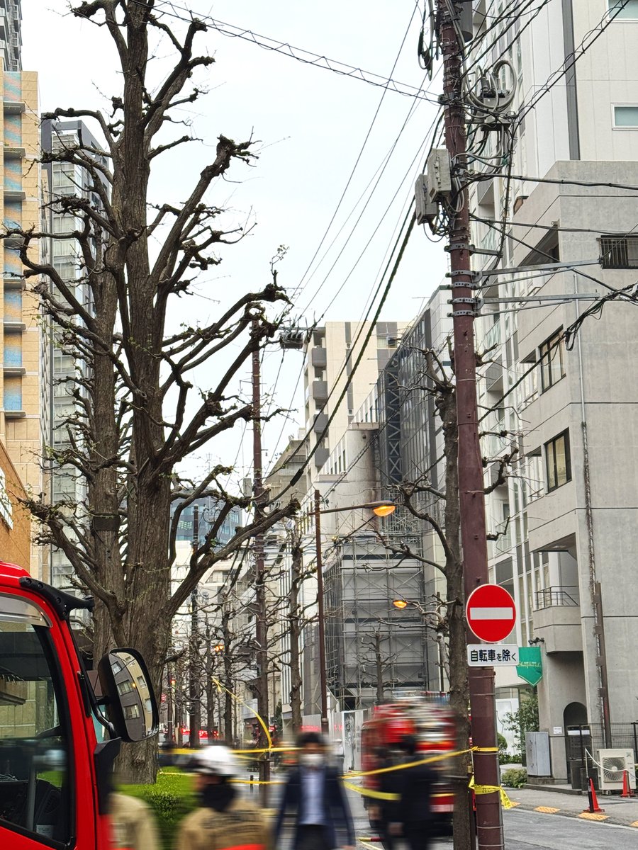 建て替え工事中の秋田書店本社ビル。
漫画『刃牙』の絵を活用したユーモアあふれる仮囲いが話題になっていましたが、本日午後に火災が発生。
作業員2名が負傷したそうです。
www3.nhk.or.jp/news/html/2025…

画像①②は本日正午ごろに撮影したもの。