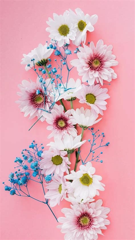 위즈유 (@wugmassdol01037) on Twitter photo 