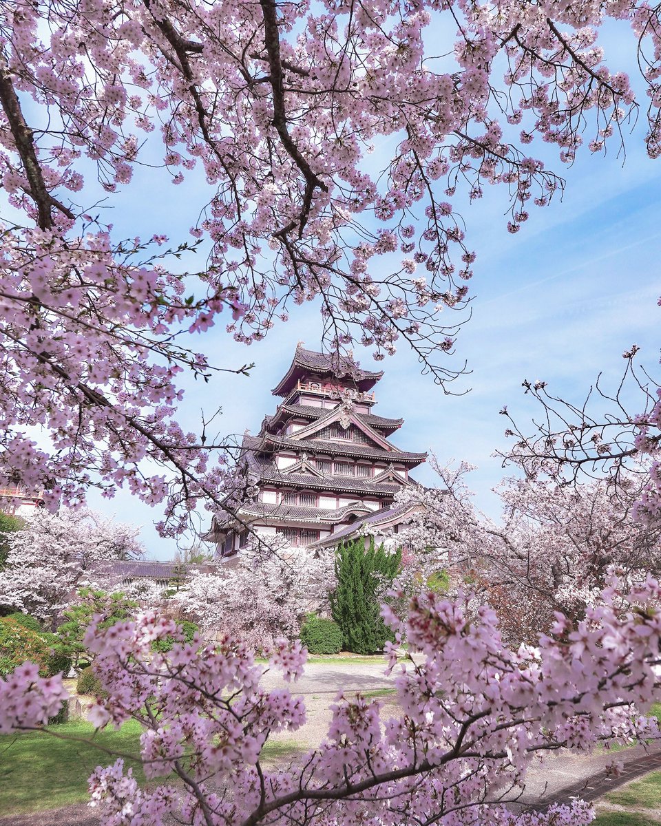 桜色のお城の春