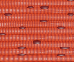 Check out Skeletal Muscle's new Collection 'Cellular microenvironments in skeletal muscle homeostasis, regeneration, and disease'!

biomedcentral.com/collections/cm…