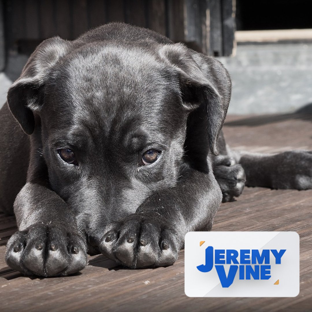 Jeremy Vine & Daytime on 5 tweet media