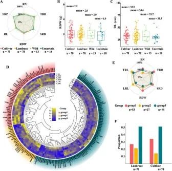 Unlocking the Genetic Secrets of Alfalfa Roots for Higher Yields
newswise.com/articles/unloc…
<a href="/CAS__Science/">Chinese Academy of Sciences</a> 
#Cytogenetics #SustainableAgriculture #agriculture #climatechange #roots #alfalfa