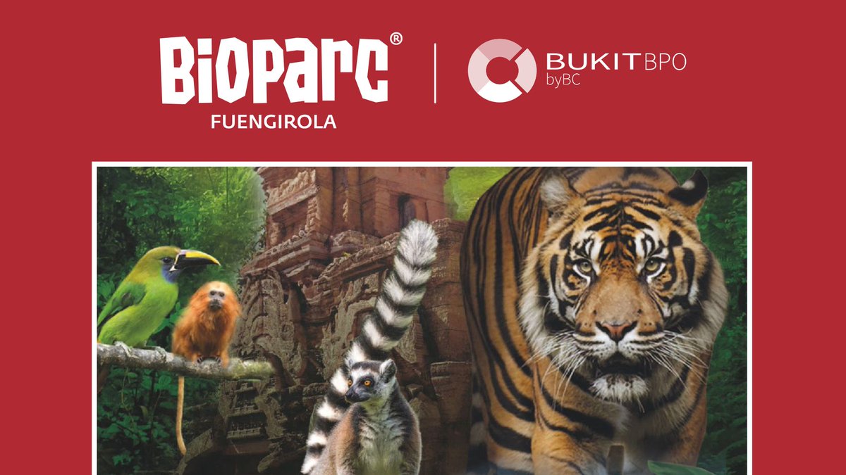 Bukit BPO by BC tweet media