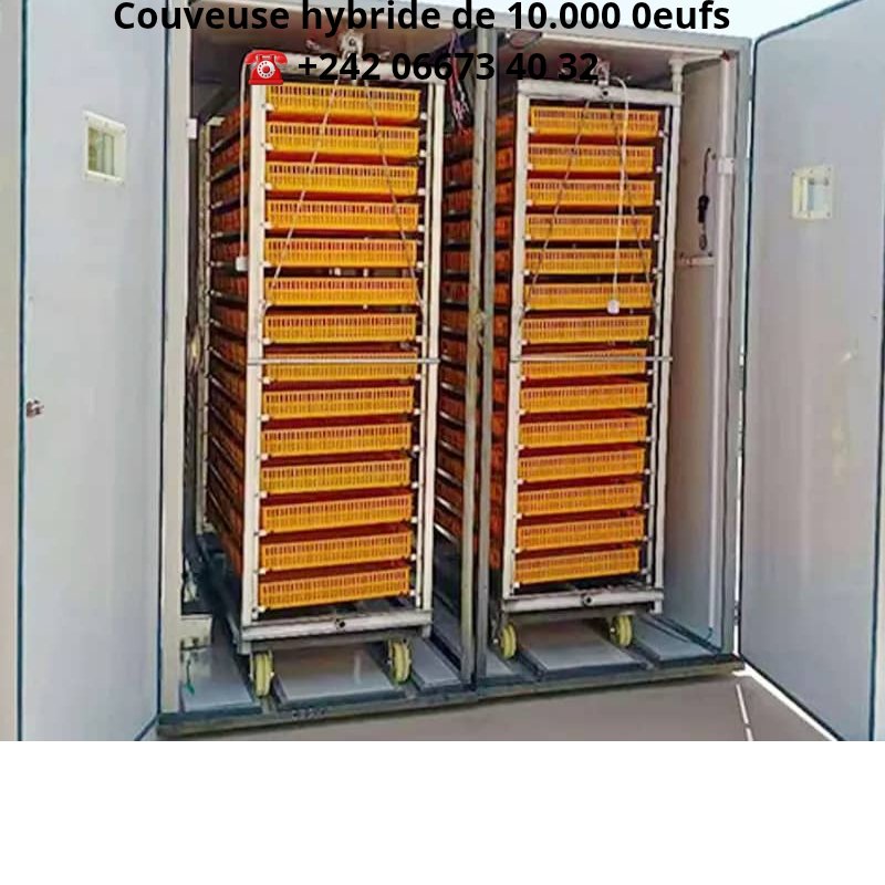 marius prysset ngouadi mpika (@ngouadimpika) on Twitter photo 