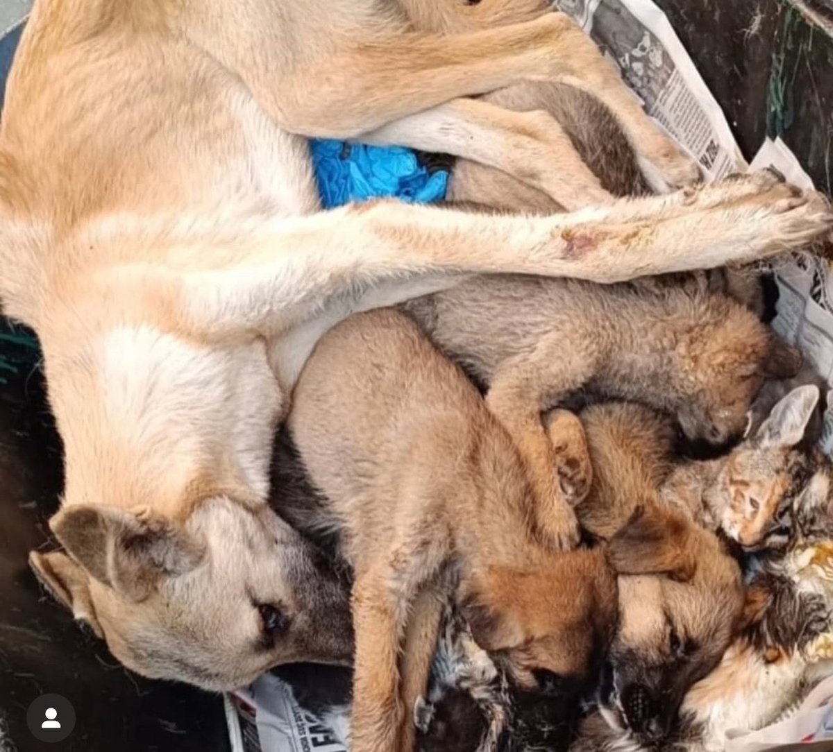 Sıra size gelecek demiştik......

#Boykot 
#TürkiyedeKatliamvar