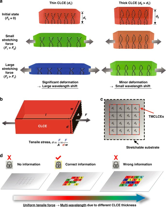 LightSciAppl's tweet image. #LSA_Highlight: [Research Article] Programmable optical encryption using thickness-controlled stretchable chiral liquid crystal elastomers. @postech2020 @chosun_univ #Liquid_crystals #Optical_data_storage #Optical_sensors
nature.com/articles/s4137…