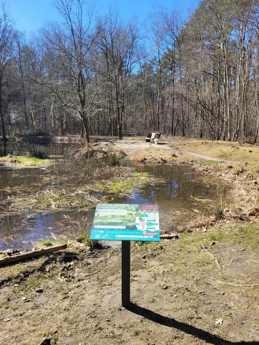 LIFE RIPARIAS tweet media