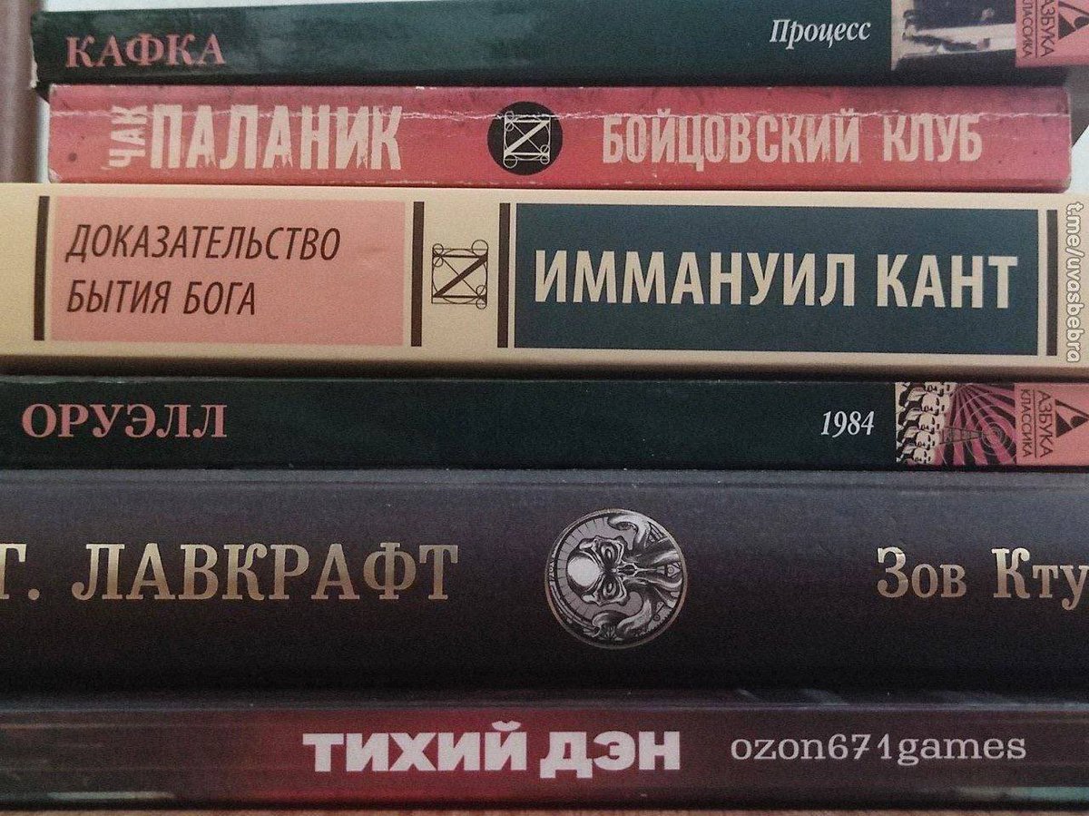 тигры и туканы tweet media