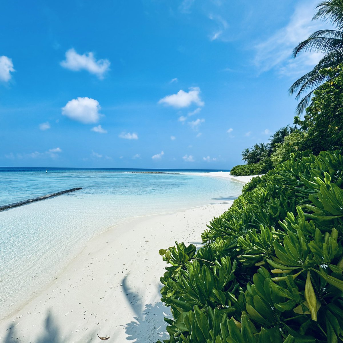 Graham Roberts tweet media