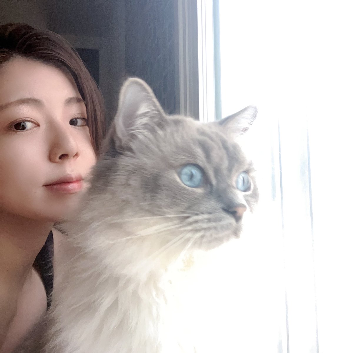 umita🛁しずかちゃん💎 tweet media