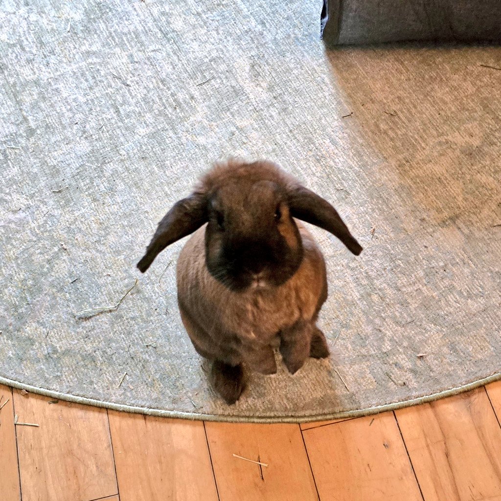 Lythero 🎮 tweet media