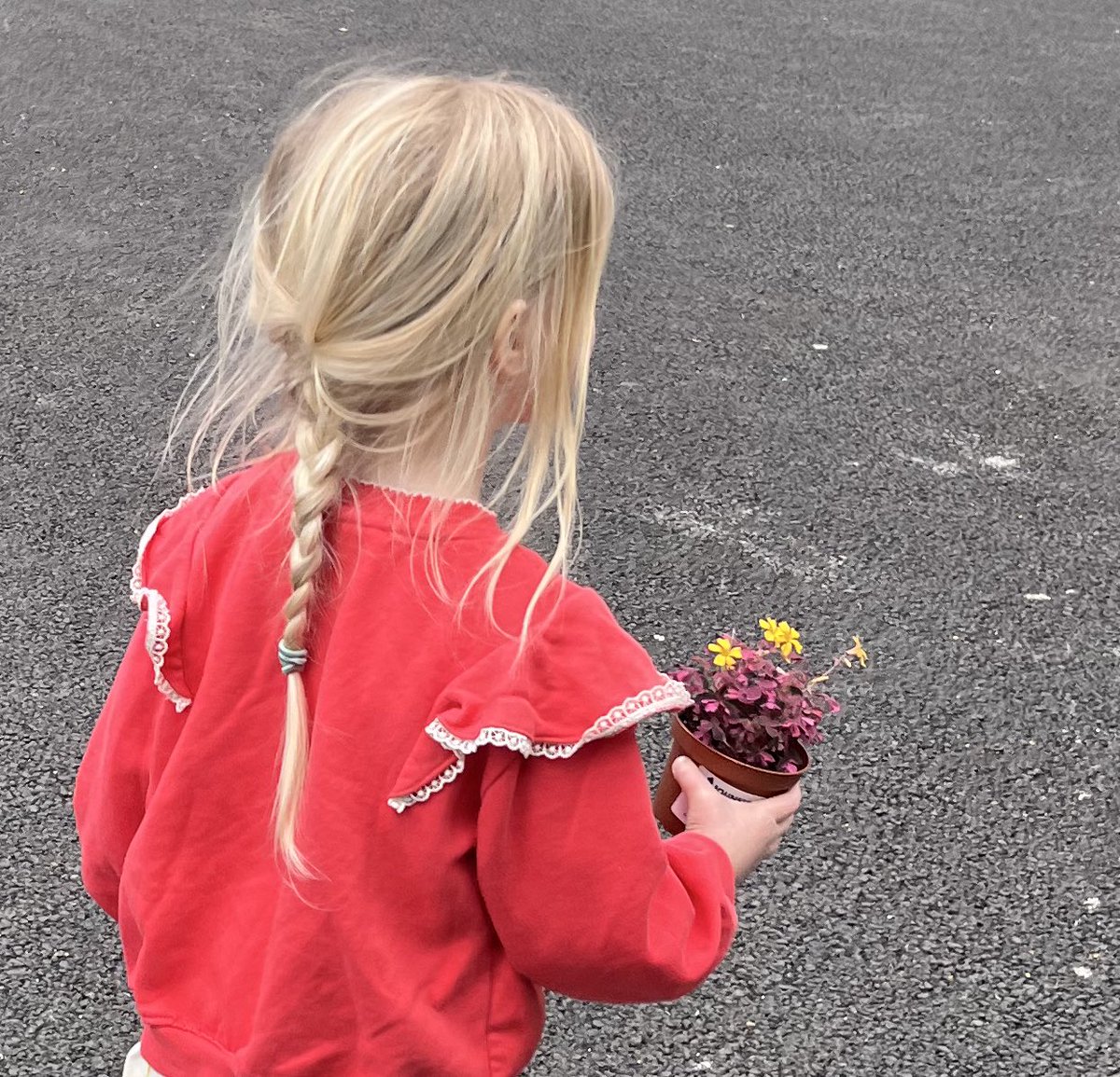 Ruesavatar's tweet image. She demanded we walk slower because her plant was “wiggling a lot” and she didn’t want it to get too tired before we got home. How did I make it 32 years without her in my life?