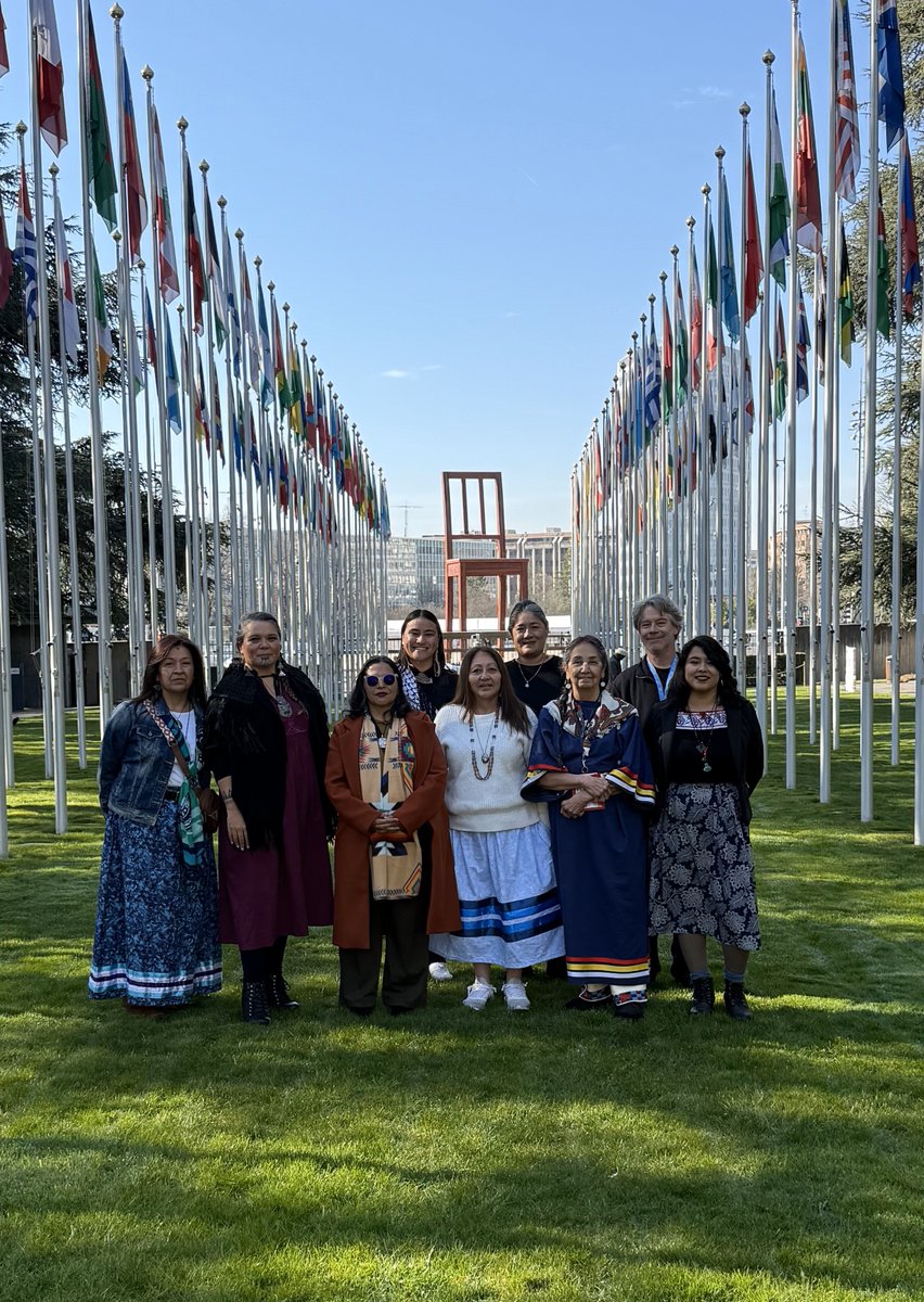 Incomindios's tweet image. Last week, Incomindios participated in the 58th #HRC session alongside Indigenous delegates advocating for their rights.

They emphasized the importance of honoring treaties, recognized by the UN, as key to sovereignty and self-determination.
#IndigenousRights