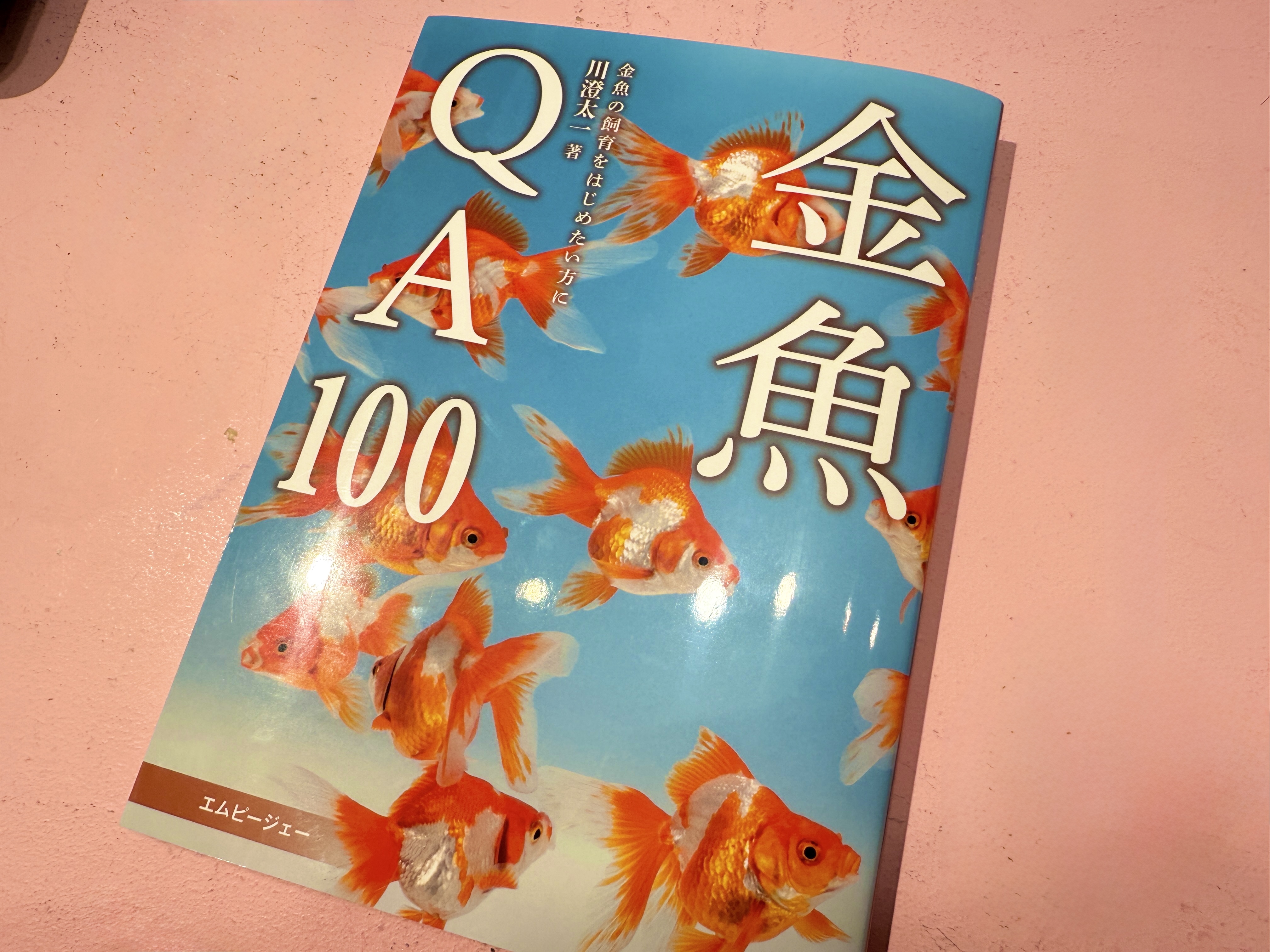 川澄太一の金魚展 (@yTJzhDqiCa21699) / X
