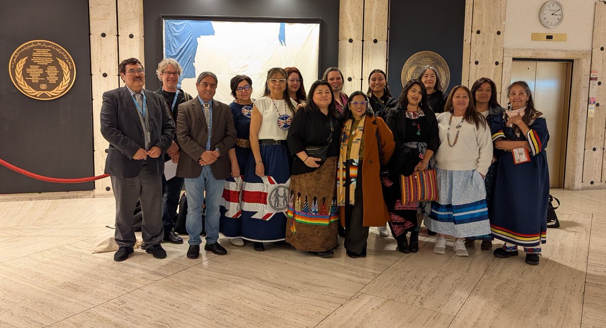 Incomindios's tweet image. Last week, Incomindios participated in the 58th #HRC session alongside Indigenous delegates advocating for their rights.

They emphasized the importance of honoring treaties, recognized by the UN, as key to sovereignty and self-determination.
#IndigenousRights