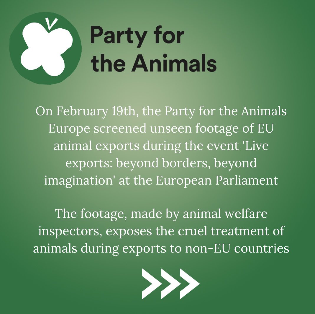 Animal Politics Foundation - Party for the Animals tweet media