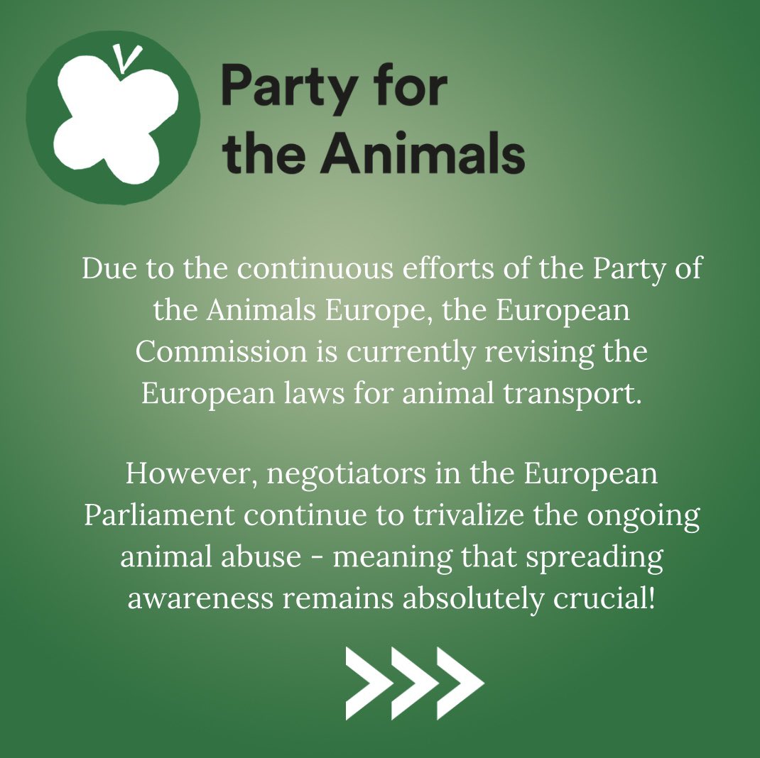 Animal Politics Foundation - Party for the Animals tweet media