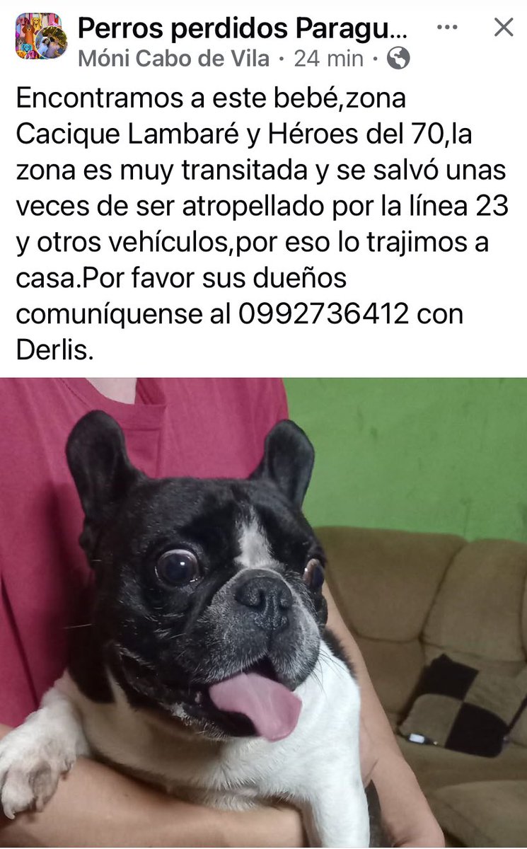 <a href="/IsabelMezquita4/">Isabel Mezquita</a> 
<a href="/perdidospy/">Mascotas Perdidas Py 🇵🇾</a> 
<a href="/OlfateandoHPy/">Olfateando Huellas</a> 
<a href="/MarcoHuellasPy/">Marcando Huellas</a> 
<a href="/MascoterosPy/">Mascoteros Paraguay</a> 
<a href="/koalandeMichi/">Koa La Nde Michi 😺😸😽😼😻</a> 
<a href="/ForcadoKaren/">Karen Forcado ♥️🇵🇾🚩</a> 
Atención gente de zona Supermercado Arete Cacique Lambare