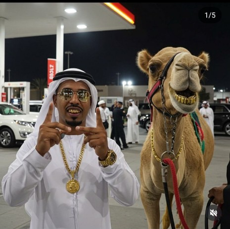 Wuee ngamia na camel yake