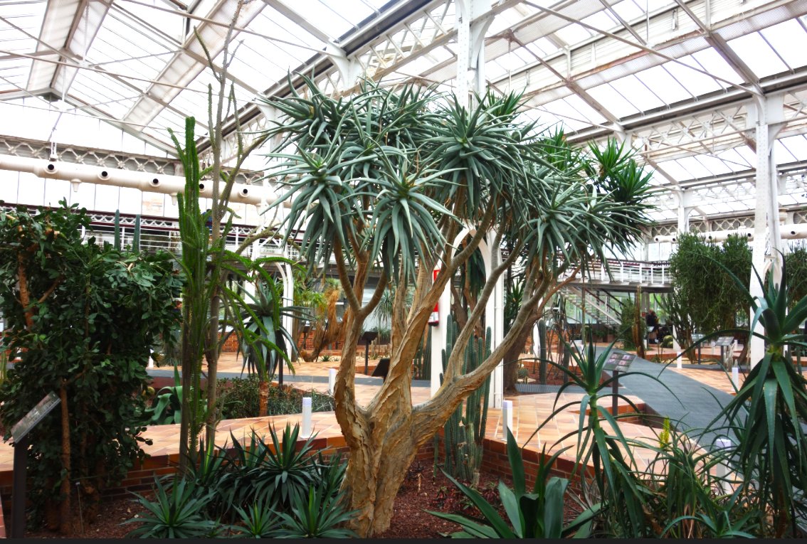 S. Maroto tweet media